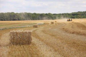 Moissons ruralité champs foin