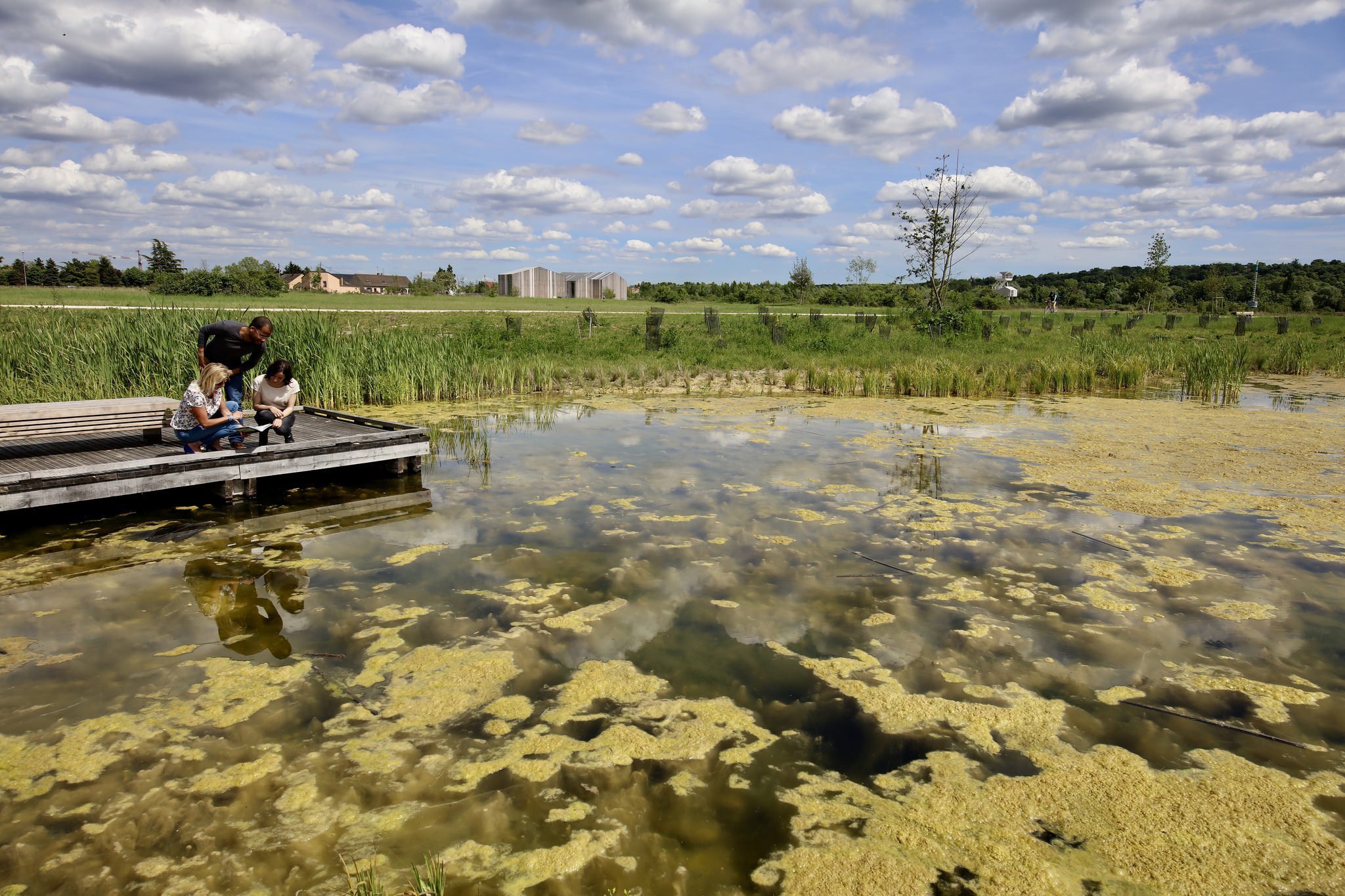 Le Parc du Peuple de l'Herbe