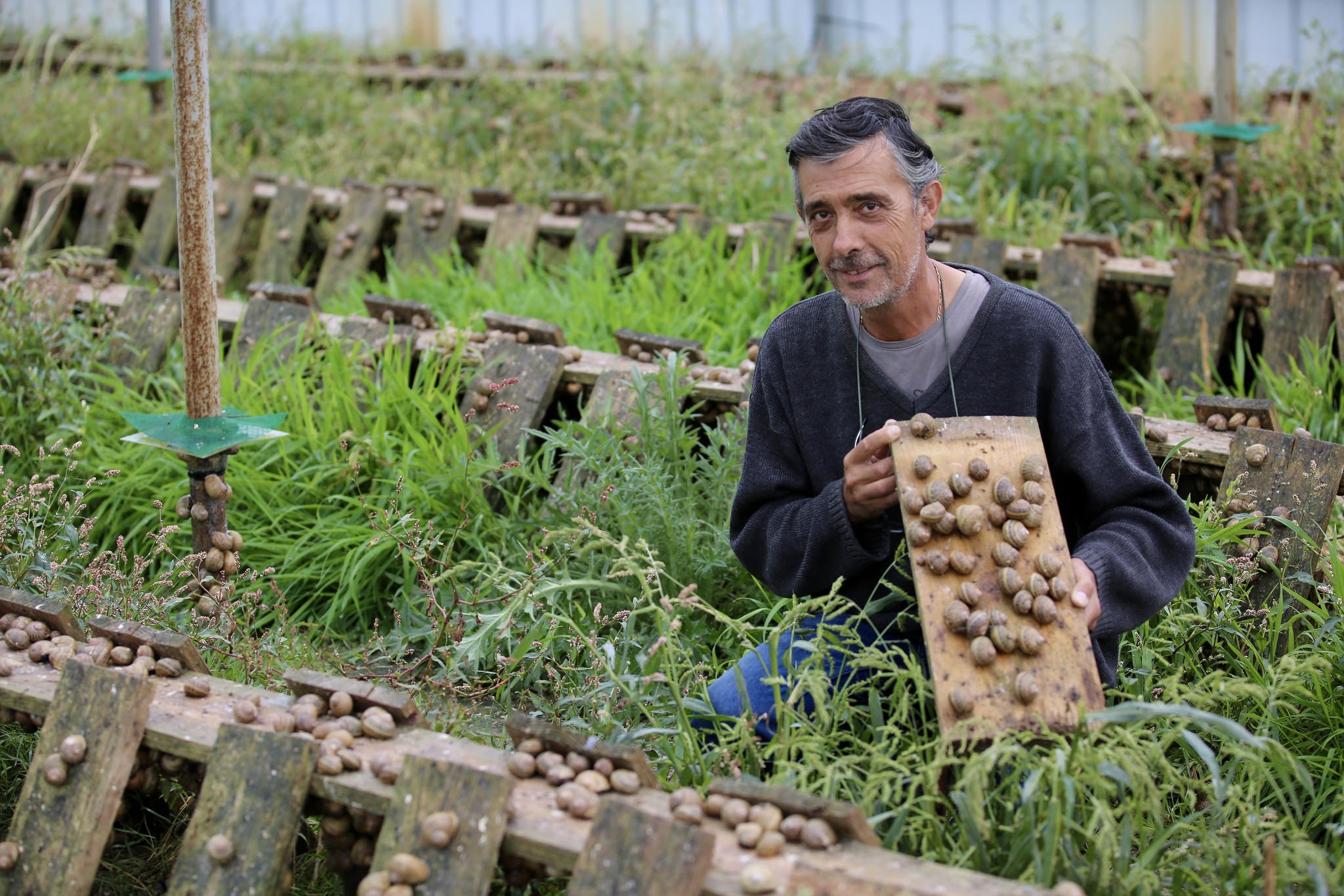 escargots ferme fanon