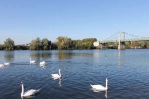 6252839945_a2b7c4cb15_z