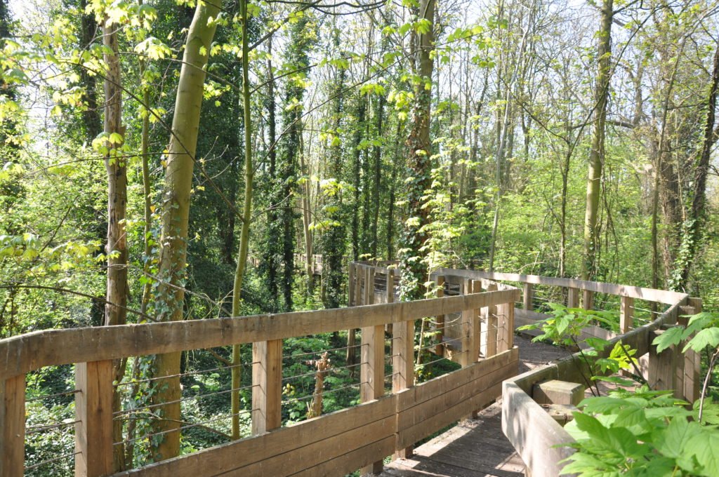 Photo : Service Communication, Ville d'Andrésy