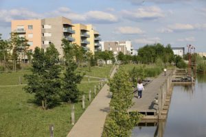 Bois d'arcy croix bonnet