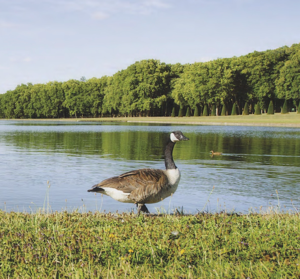 Parc Marly le Roi