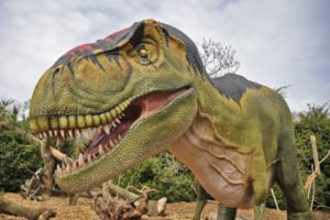 Crédit photo : Arthus Boutin / Safari Zoo Domaine de Thoiry