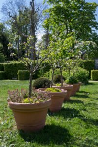 Domaine3©MCRigato-Sonally-CD78