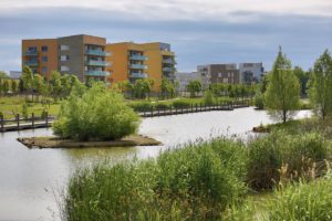 Bois d'Arcy - Croix Bonnet