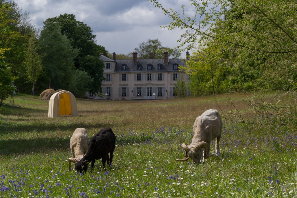 Domaine de Madame Elisabeth © CD78/N.DUPREY