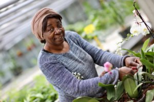 jardinière©N. Duprey-CD78