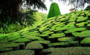 mosaique_crédit Fabrice Milochau