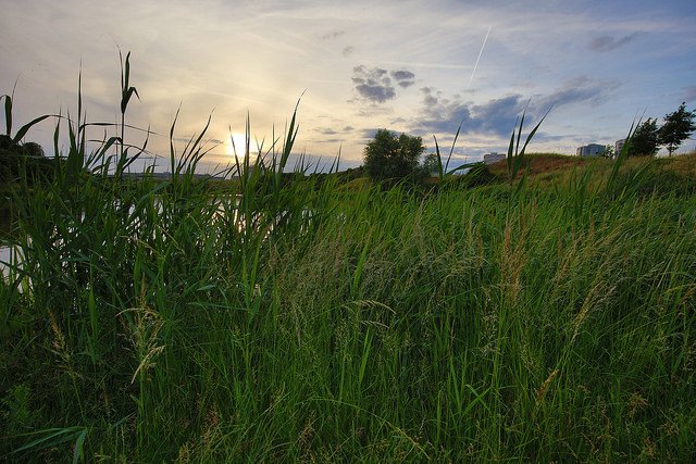 Les Mureaux - Photo : N. Duprey/CD78