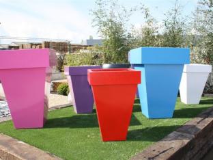 Photo-12-wpcf_312x234