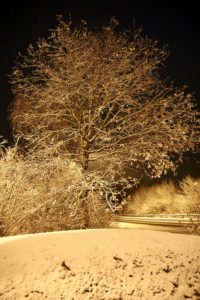 Neige dans les Yvelines 