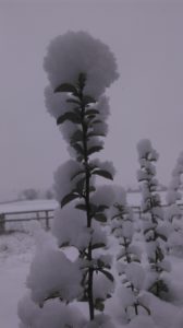 Neige et verglas dans les Yvelines