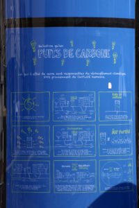 Poissy installe le premier puits de carbone des Yvelines © CD78/N.DUPREY