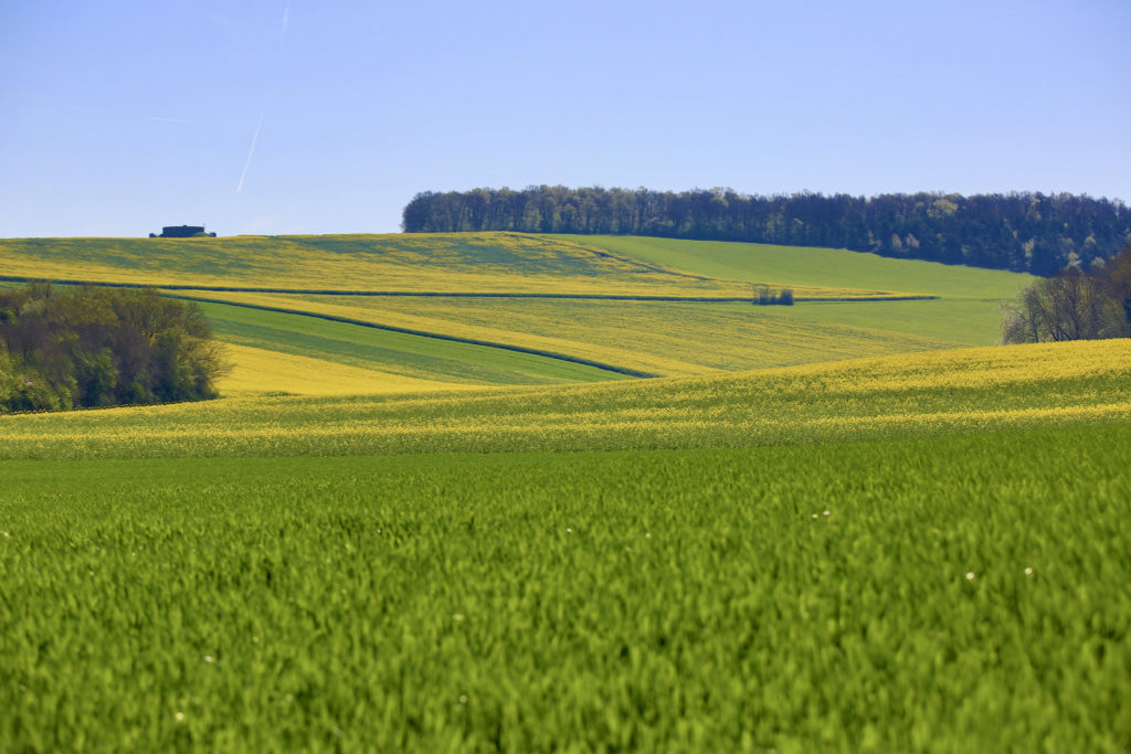 agriculture