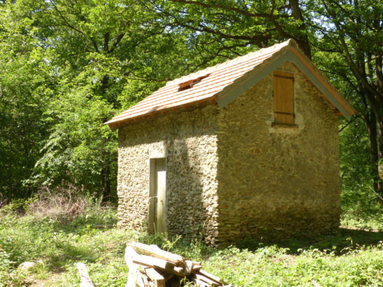 Gite chauve souris Pinceloup