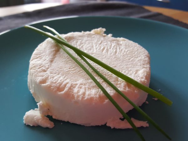 goat-cheese-1284848_960_720