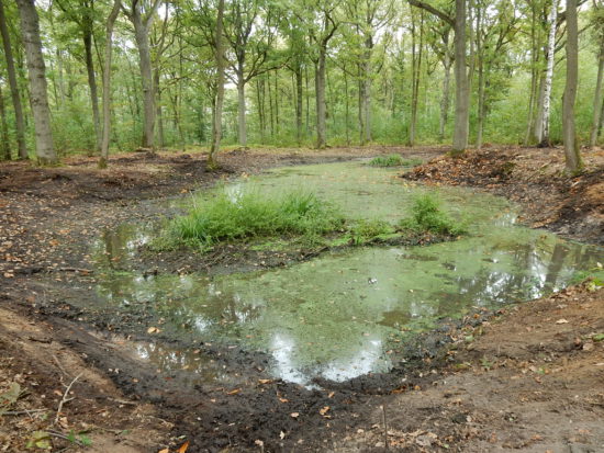 Mare de Sainte-Apolline
