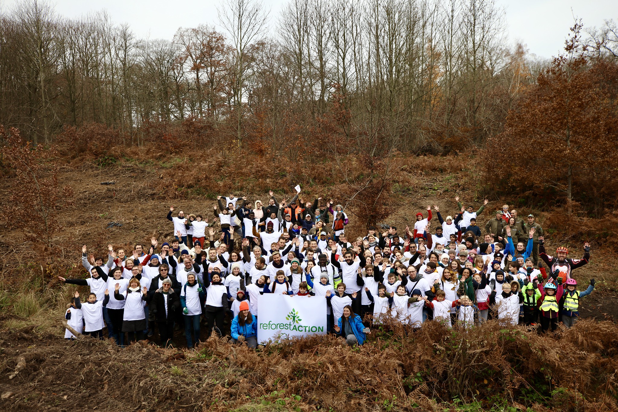 3000 arbres replantés en forêt de Sainte Apolline Yvelines Infos