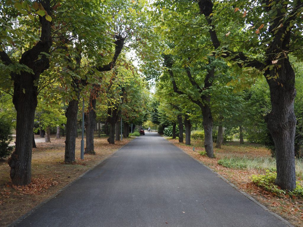 Parc départemental de Montesson ©CD78/C.BRINGUIER