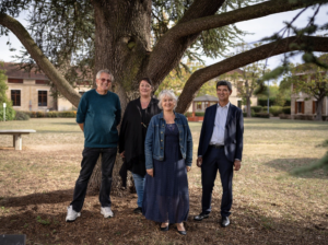 Le cèdre de Montesson en lice pour "l'arbre de l'année 2020"