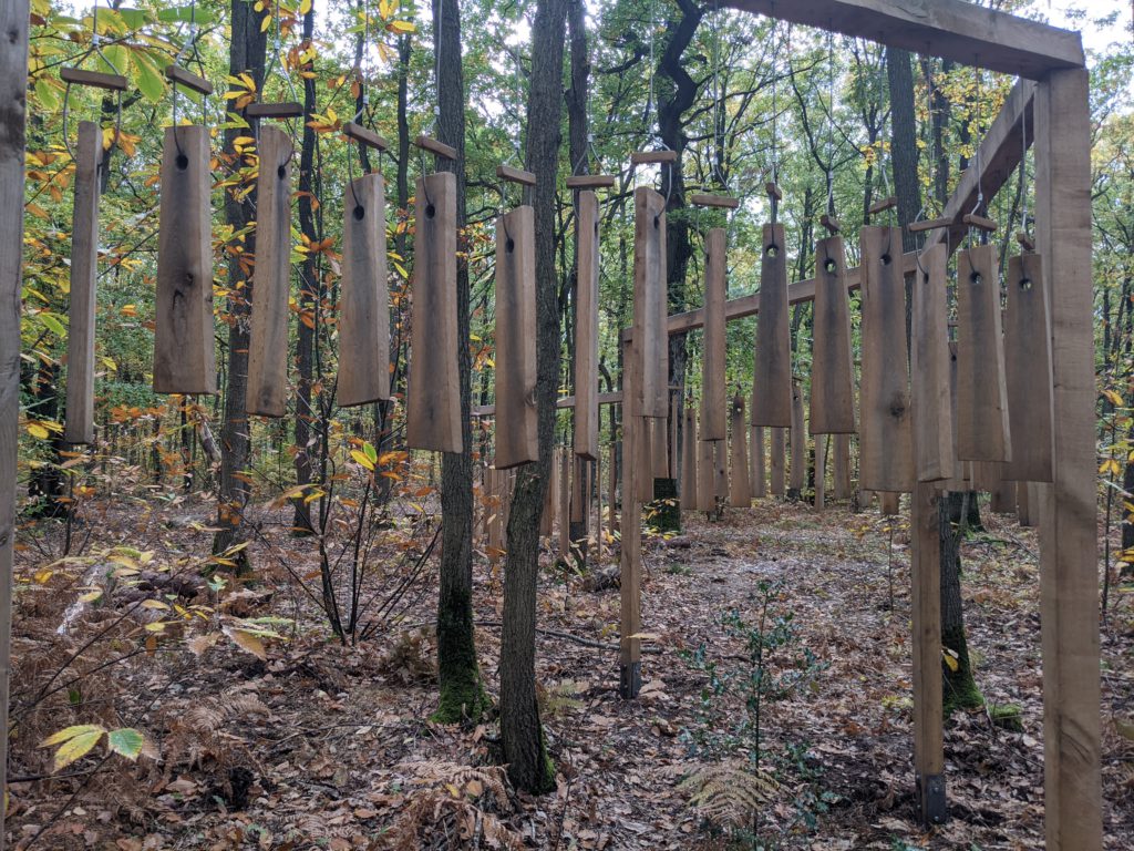 Ouvrez les yeux et les oreilles en forêt de Méridon © CD78