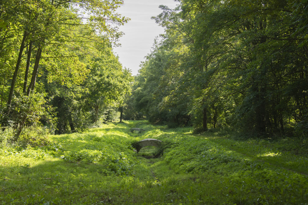Le ru de Gally s'offre une promenade intelligente / Château de Versailles