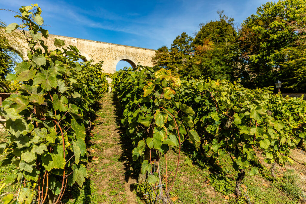 © Office de tourisme Saint-Germain Boucles de Seine