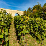 © Office de tourisme Saint-Germain Boucles de Seine