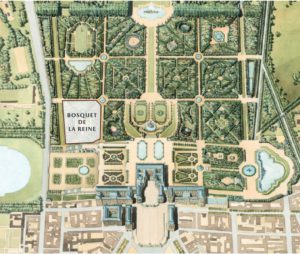 La renaissance du bosquet de la Reine © T.Garnier Château de Versailles