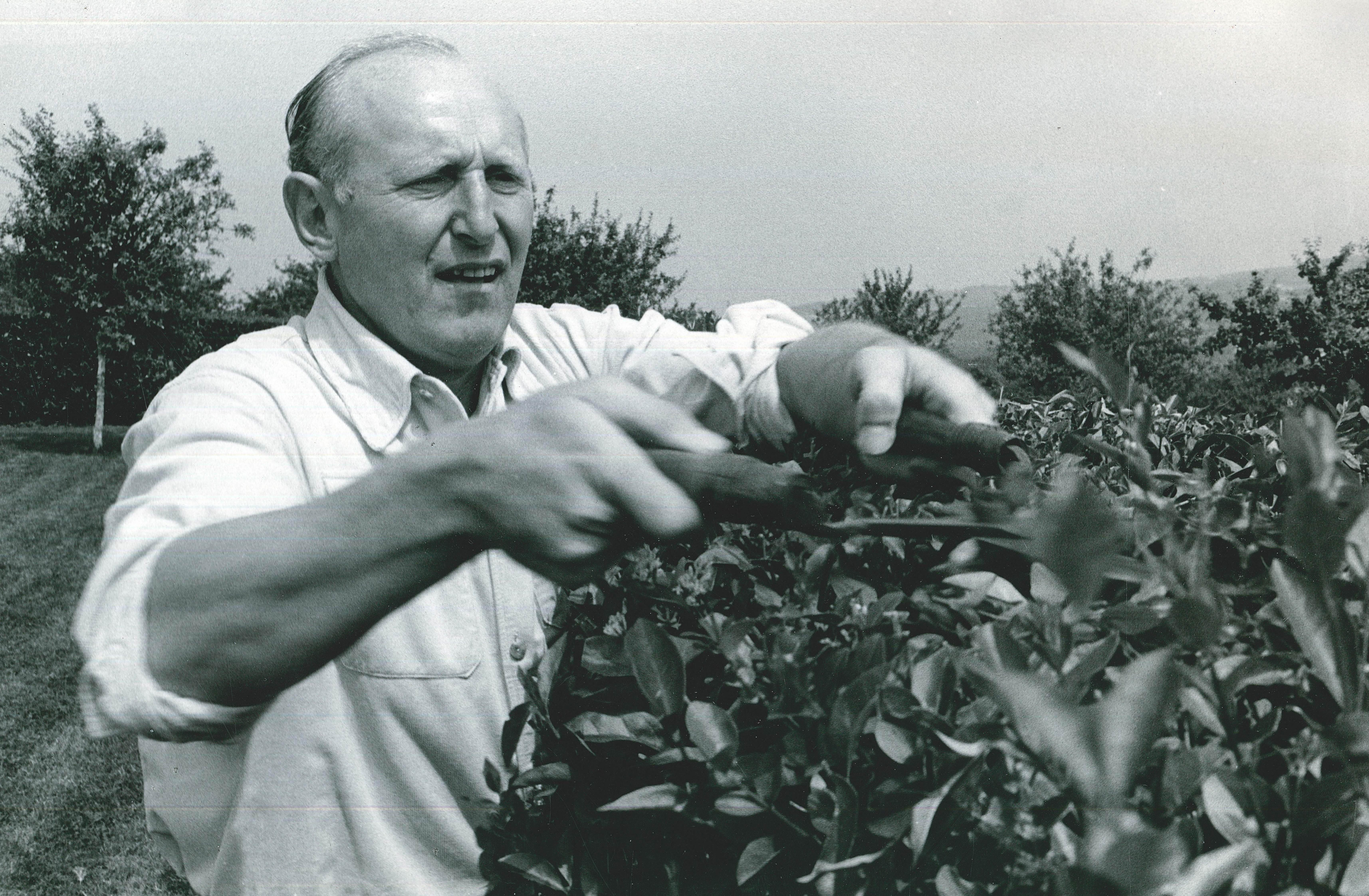 Bourvil Montainville - Yvelines Infos