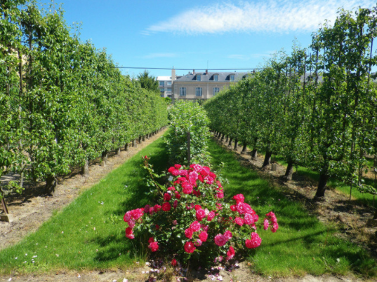 Pass Malin au Potager du Roi