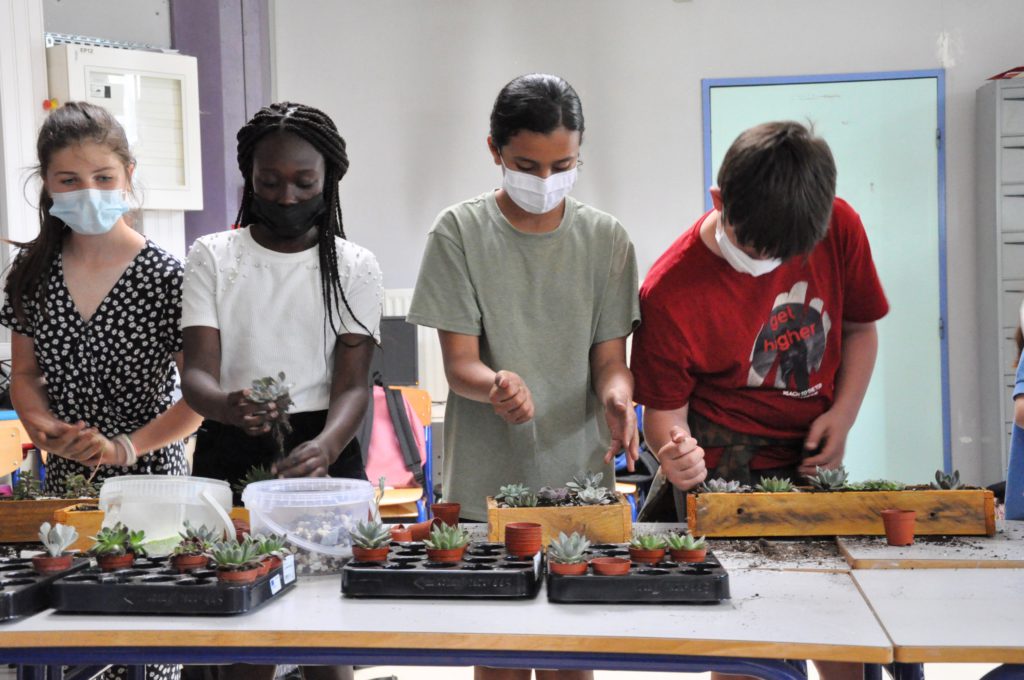 Des moutons s'invitent au collège du Bois d'Aulne © CD78.C.BRINGUIER