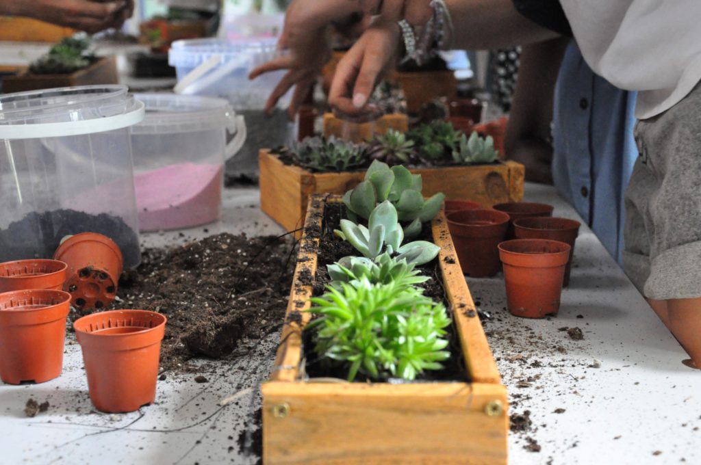 Des moutons s'invitent au collège du Bois d'Aulne © CD78.C.BRINGUIER