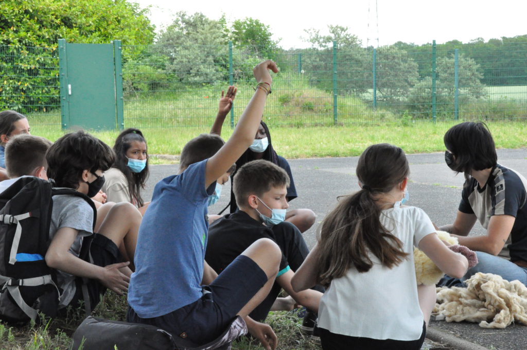 Des moutons s'invitent au collège du Bois d'Aulne © CD78.C.BRINGUIER