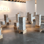 Expo-floraisonsassociees©Laure Tixier