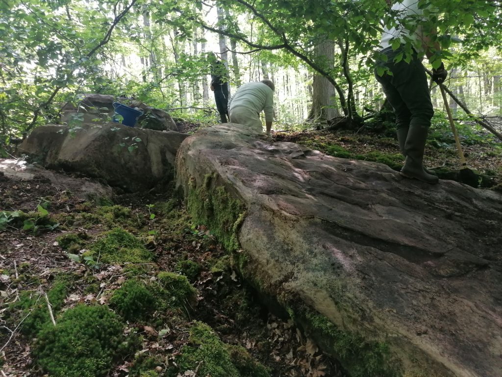 Cachés sous de la mousse en forêt, les blocs sont lavés et répertoriés. © CD78 / N.Théodet
