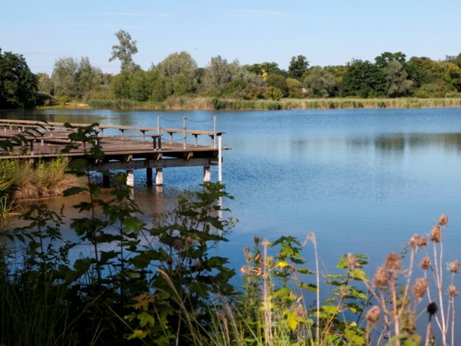Parc-departemental-de-la-boucle-de-Montesson-ponton-etang-de-l-epinoche-800x600_visuel_large  - Yvelines Infos