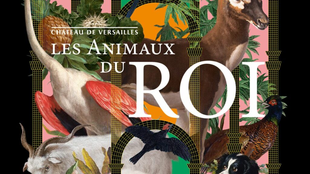 Les animaux du Roi au Château de Versailles