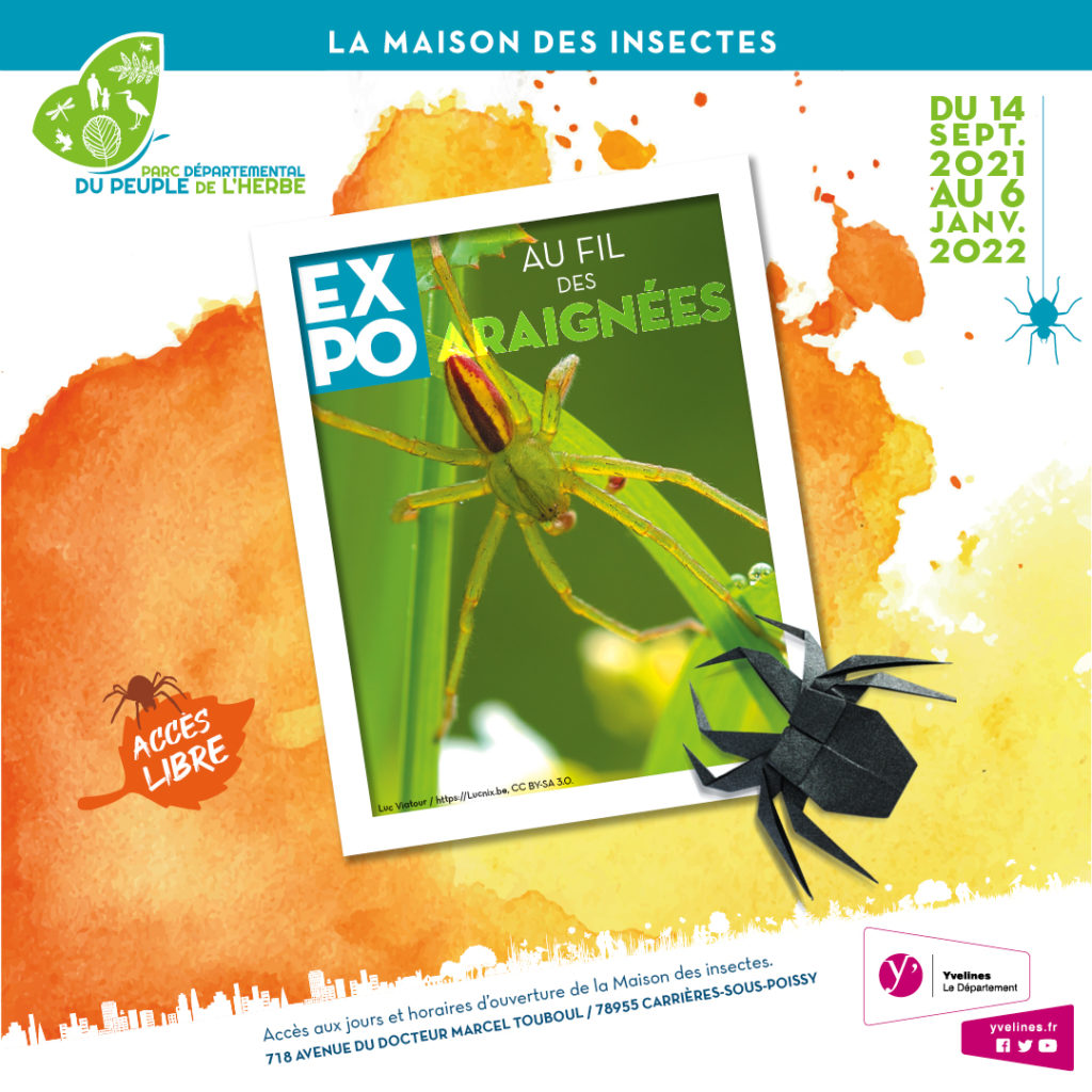 Au fil des araignées PPDH