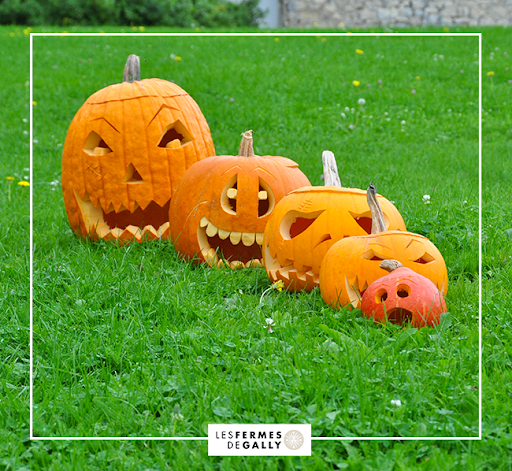 Fête de la citrouille © Fermes de Gally