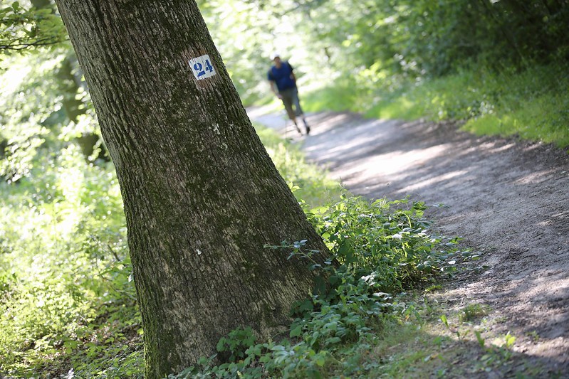 Que faire ce week-end dans les Yvelines ? © CD78/N.DUPREY