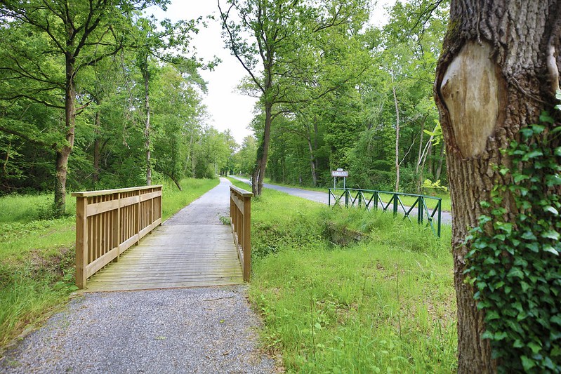 Villes et Villages Fleuris : 68 communes yvelinoises labellisées en 2021 © CD78/N.DUPREY