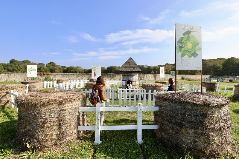 Ferme de Gally © CD78/N.DUPREY