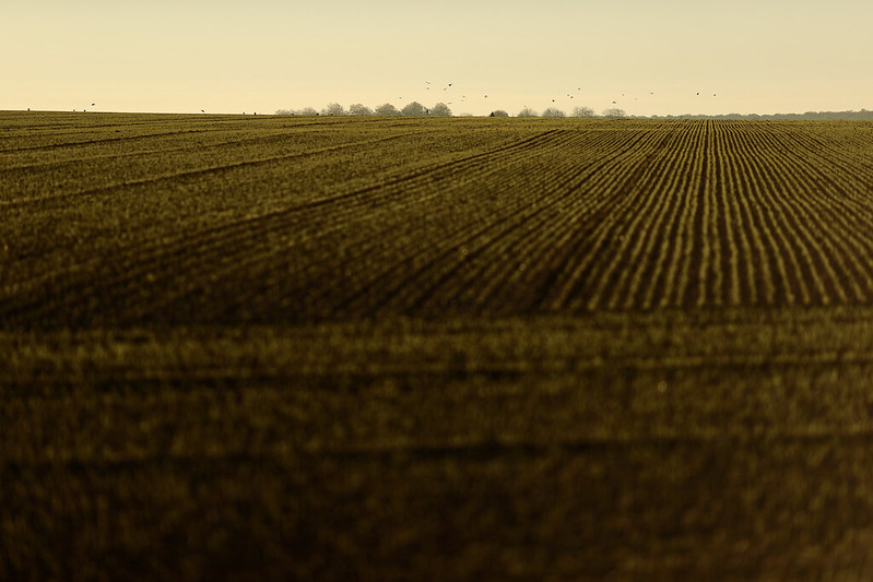 Que faire ce week-end dans les Yvelines ? © CD78/N.DUPREY