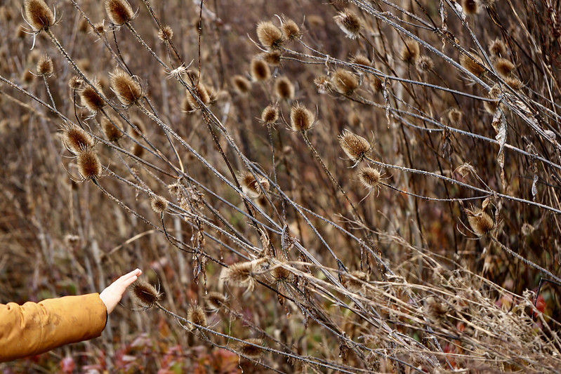 Plus de 5000 personnes pour découvrir le patrimoine des Yvelines