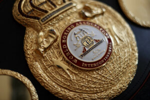 Rima Ayadi, un « ovni » dans la boxe de haut niveau © CD78/N.DUPREY