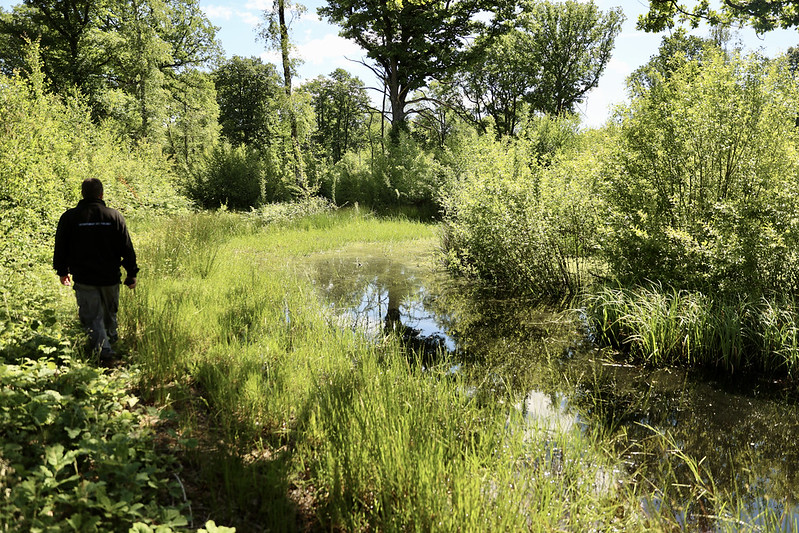 Que faire ce week-end dans les Yvelines ? © CD78/N.DUPREY