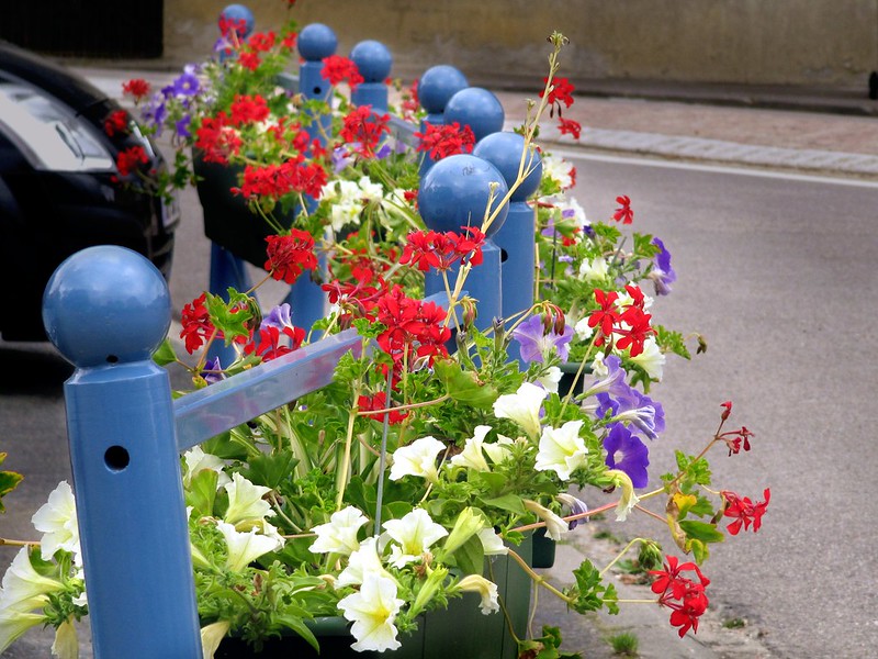 Villes et Villages Fleuris : 68 communes yvelinoises labellisées en 2021 © CD78/N.DUPREY