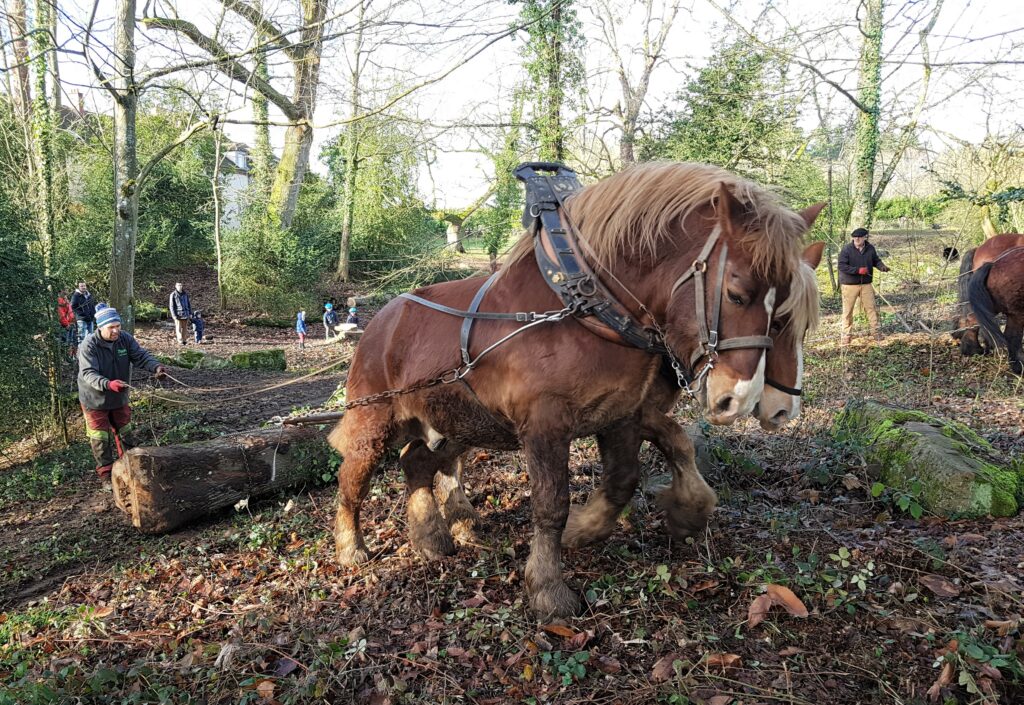 Frédéric Drieux élu Yvelinois de l'année 2021 ! © Frédéric Drieux